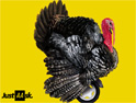 AA: turkey poster