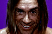 Iggy Pop...star of Swiftcover ad