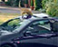Ford: Sportka viral tops the list