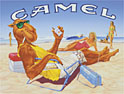 Camel: RJ Reynolds brand