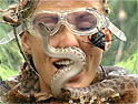 'I'm a Celeb': ITV buoyed by performance