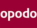 Leagas Delaney declines to repitch for Opodo business