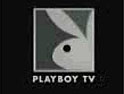 PLayboy TV: fined for showing hardcore porn