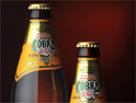 Cobra: Joshua wins £3m account
