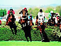 Grand National: ITV may snap up TV rights