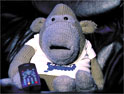 Monkey: custody battles rages on
