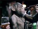 Portman Group: calls for 'drunken monkey' ad to be pulled