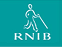 RNIB: debuting DRTV work through Target Direct