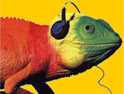 Jazz FM: chameleon may go with relaunch