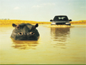 Land Rover: winner
