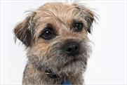Wickes: Wicksey the dog character