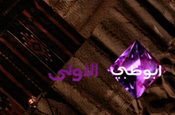 Abu Dhabi TV: Arabian ambition