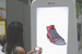 Consumers get creative control on digital posters through new iPhone platform