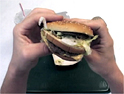 Adbusters: taking legal action over ad refusal