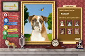 AllAboutPets.com: launched by The Blue Cross