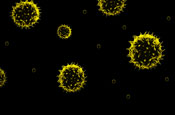 Asthma UK: SMS high pollen alerts