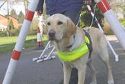 Guide Dogs for the Blind…£7m account