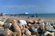 Brighton beach