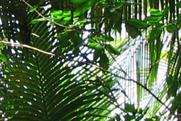 London Zoo to open rainforest experience