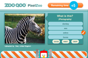 PixelZoo: new user-generated quiz game