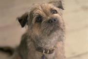 Wickes: home improvement chain introduces Wckesy the dog in latest ad campaign