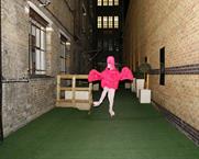 Pink Flamingo:seen at the IPA Online Media Owners Awards launch 