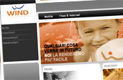 Wind Italy: owned by Orascom