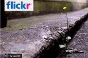 Flickr has created Garden