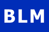 Havas acquisition sees BLM merge with Arena network