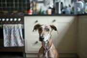 Battersea Dogs & Cats Home picks FCB Inferno as lead creative agency