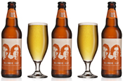 Morrisey and Fox: launch Blonde Ale