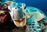 The Blue Planet effect: Who can you really trust?