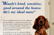 Blue Cross: press ad
