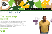 Bounty: dads survival guide