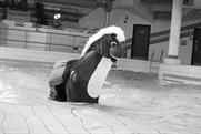 BrewDog parodies Guinness' famous 'tick follows tock' ad