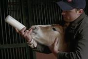 Budweiser: brotherhood by Anomaly USA