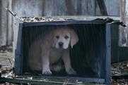 Budweiser: Super Bowl XLIX ad tugs on the heartstrings