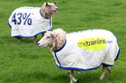 Sheepish campaign by thetrainline.com