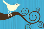 Twitter: focuses on retweets