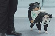 Gocompare: launches ad campaign 