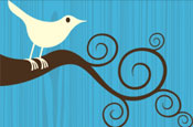 Twitter: social media brand tool