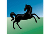 Black Horse: satisfied green criteria 