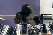 Cadbury: 'gorilla' ad pushes sales