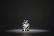 Catterbox listens to its wearer's miaows and translates them into human speech