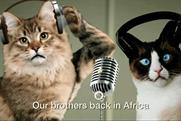 Care for the Wild: 'cats of the internet'