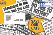 Cats Protection ad: pragmatic message