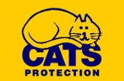 Cats Protection: new welcome pack