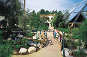 Center Parcs: new look and feel