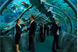 World exclusive - Aquarium's new plans unveiled