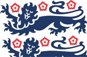 The FA: former boss David Davies backs free TV access